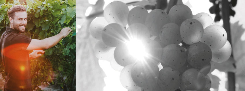 steffen-burnikel-header