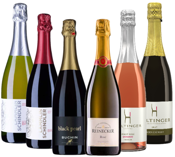 Sekt Mix Probierpaket 6 x 0.75l