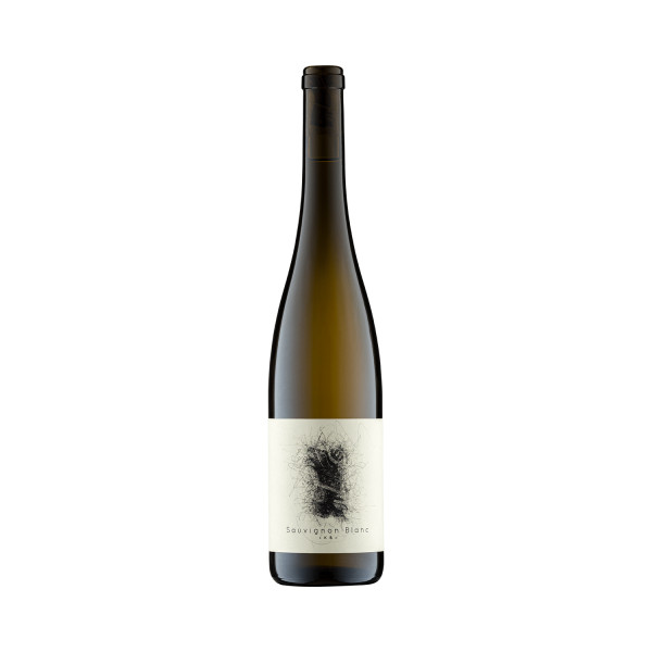 Sauvignon Blanc trocken 2017 - Vegan - Weingut Scherer-Zimmer - Biowein