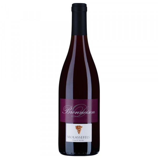 Pinot Noir „Molassefels“ 2019 trocken (24 Monate im Eichenholz gereift) - Weingut Brenneisen