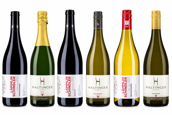 Bio Wein Probierpaket – 6 × 0,75 l