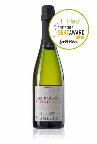 Feuerbacher Steingässle - Pinot Noir Winzersekt - Extra Brut 2016 - Sektkellerei R