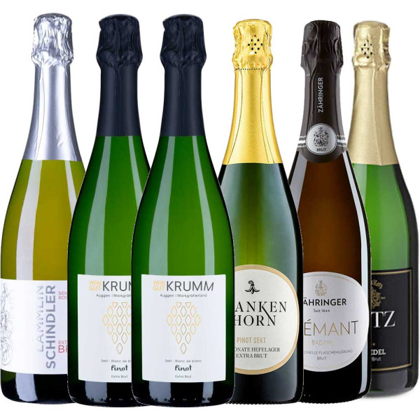 Extreme Dry January - Sekt-Paket "extra Brut"