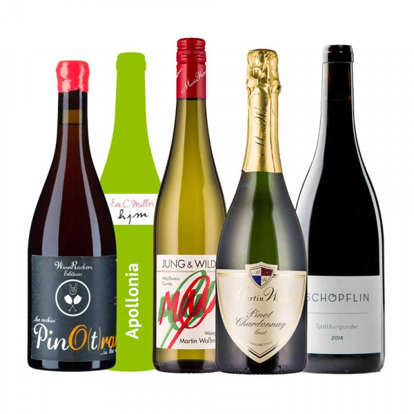 Online Weinprobe 18.02.2022 – LADIES Choice Weinpaket - Valentinstags Geschenkidee
