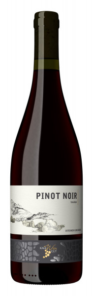 Pinot Noir trocken 2015 Qualitätswein - Kalk Weingut Istein - ABVERKAUF