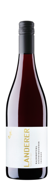 2023 Kaiserstuhl Spätburgunder - Weingut Landerer