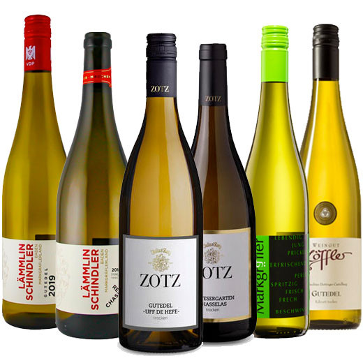GUTEDEL Champs II Weinpaket inkl. Online Weinprobe (On Demand)