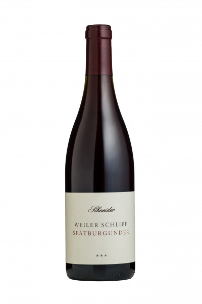 Spätburgunder ALTE REBEN trocken 2019 - Weingut am Schlipf - Schneider