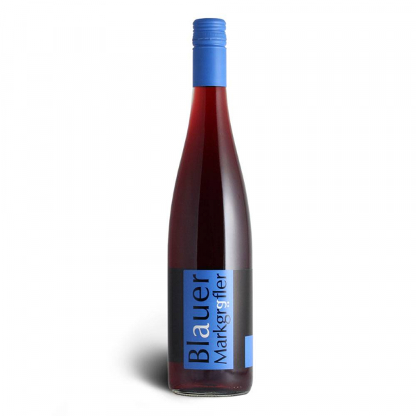 Blauer Markgräfler - Spätburgunder Rotwein - Weingut Rieger