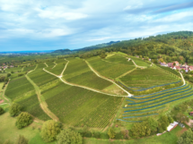 weingut-schlumberger-bernhart-muggardt3-scaled-215x161