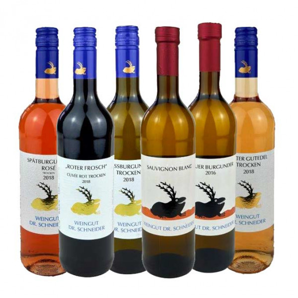 Gutspaket - Weingut Dr. Schneider