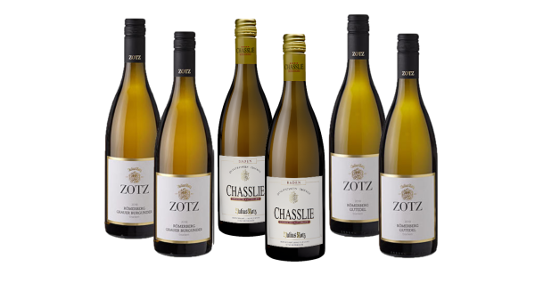 Markgräfler Weißwein Genusspaket- Weingut Julius ZOTZ 6 x 0.75l