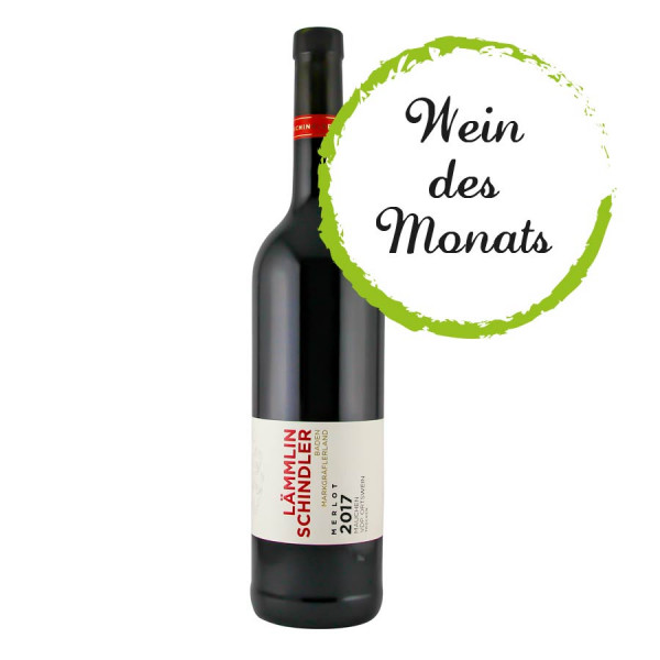 Merlot 2017 trocken VDP. ORTSWEIN - WEIN des MONATS 01/2021 Lämmlin-Schindler - Biowein