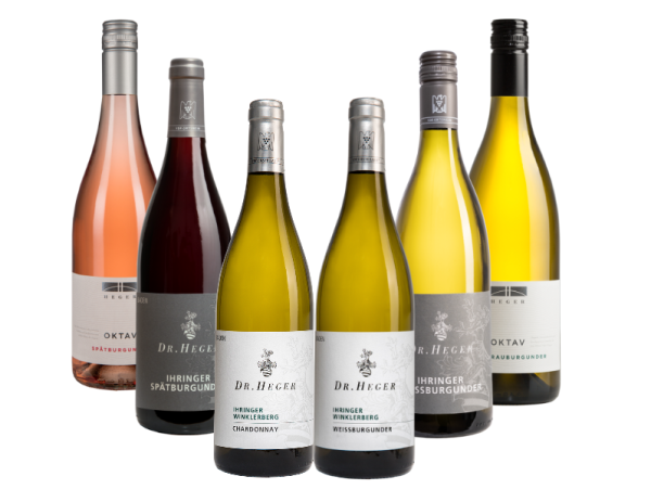 Probierpaket - Weingut Dr. Heger / Weinhaus Heger