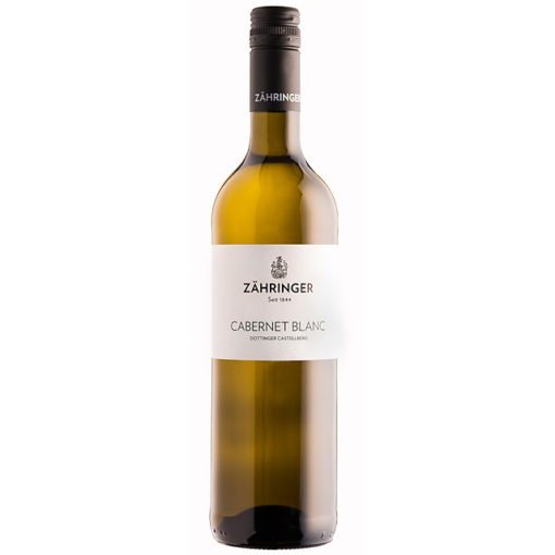 Sauvignon Blanc trocken 2019 - Weingut Zähringer - Biowein - ABVERKAUF