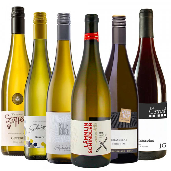 "Gutedel Champs III" - Weinpaket zur Online Weinprobe ON DEMAND