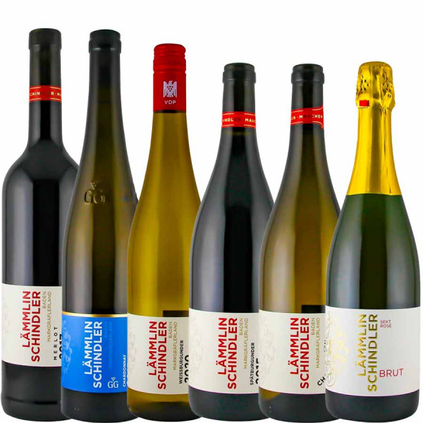 Guts-Favoriten Paket - Weingut Lämmlin-Schindler inkl. Versand