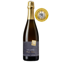Hügelheimer Höllberg Brut Nature - Wein & Hof Hügelheim - 91P. Meiningers Deutscher Sektpreis 2021 Hügelheimer Höllberg Brut Nature - Wein & Hof Hügelheim - 91P. Meiningers Deutscher Sektpreis 2021