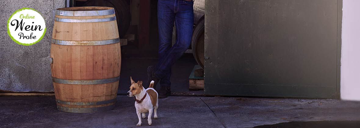 SW-slider-header-1180x420-wineryUnderdogs-OWP