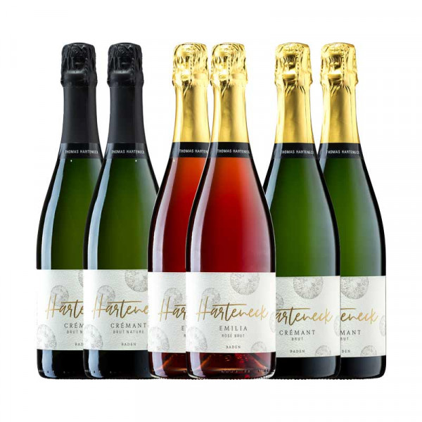 6er Bio-Winzersekt Paket - 6 x 0,75 L - Weingut Thomas Harteneck