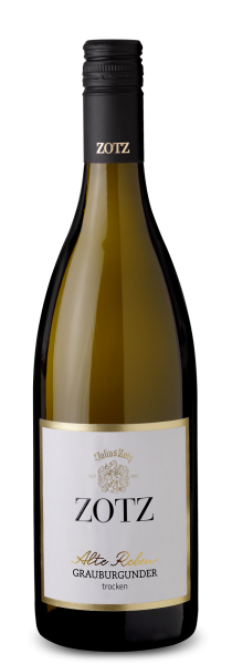 Grauburgunder "Alte Reben" trocken 2025 - Weingut Julius ZOTZ