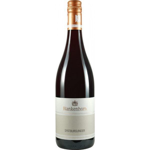Pinot Noir, Markgräfler trocken 2018 VDP Gutswein - VDP Weingut Blankenhorn