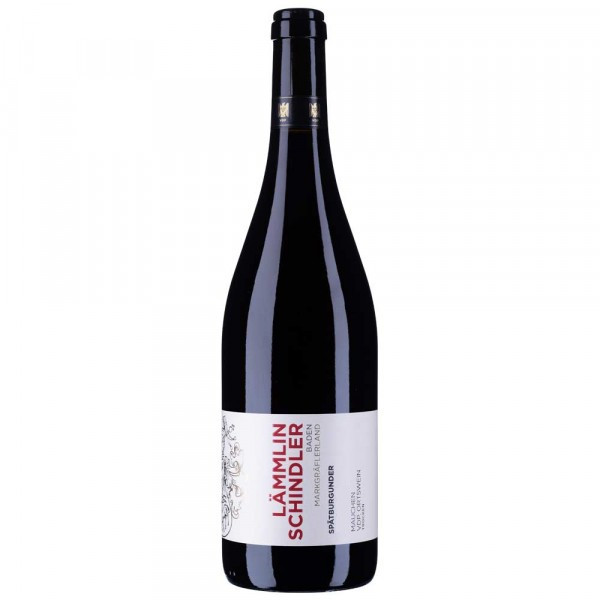 Spätburgunder Rotwein trocken 2019 VDP. Ortswein - Weingut Lämmlin-Schindler - Biowein
