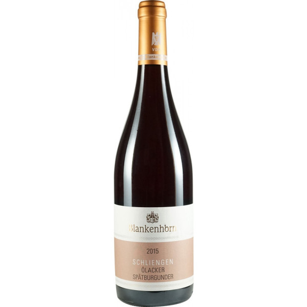 Pinot Noir 2018 trocken Schliengener Ölacker VDP.ERSTE LAGE® - Weingut Blankenhorn