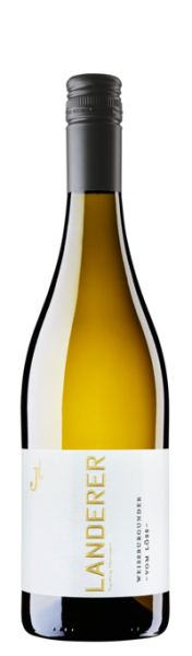 2024 Weißburgunder vom Löss - Weingut Landerer