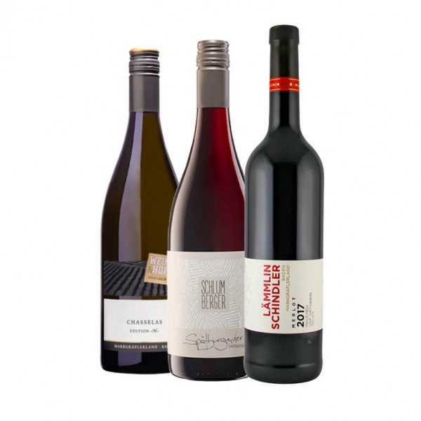 Weinpaket "Markgräfler Online Weintalk" Q1 - 3 x 0,75 L für den 04.02.2021