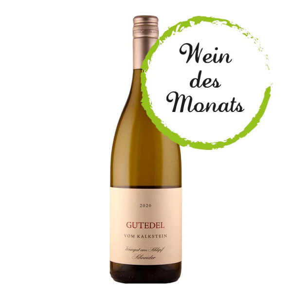 Gutedel "vom Kalkstein" 2020 trocken - WEIN des MONATS 04/2022 - Weingut am Schlipf - Schneider